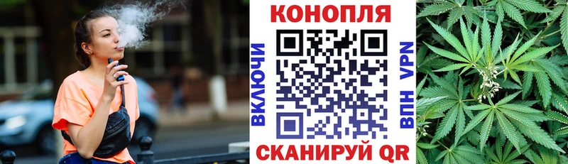 Бошки Шишки план  Люберцы 